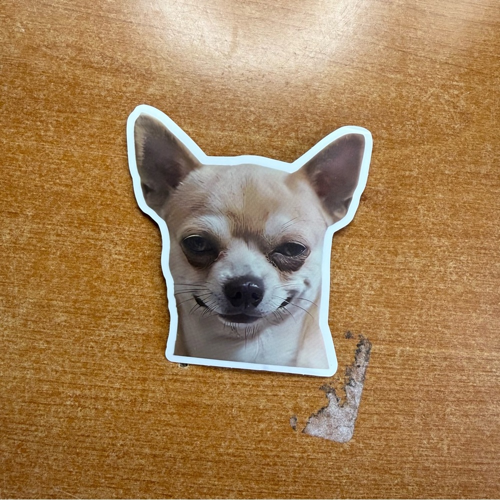 Cute Chihuahua Sticker